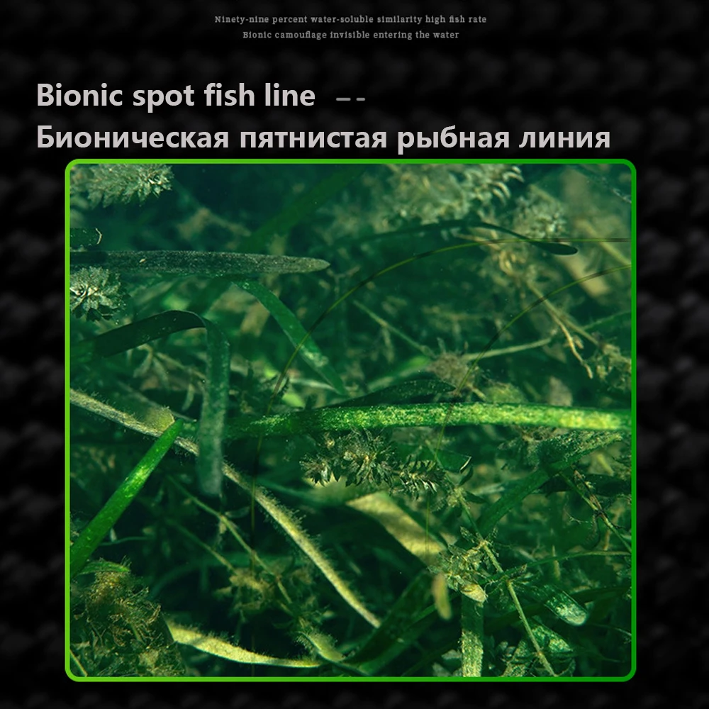 3000M Invisible Speckle Carp F – Copolymer Line Bewertung und Preis