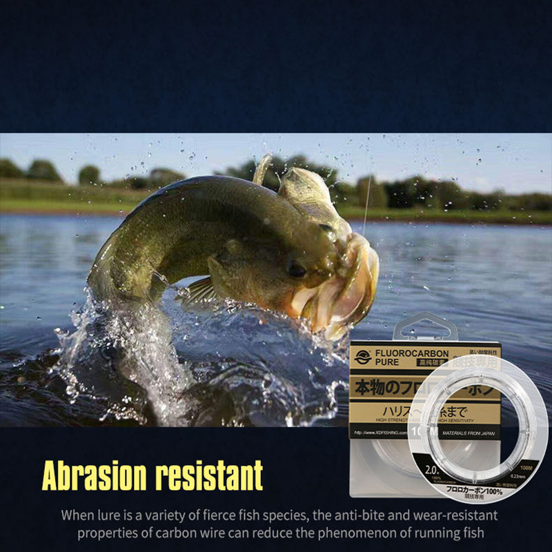 99% Fluorocarbon Fishing Line  – Copolymer Line Bewertung und Preis